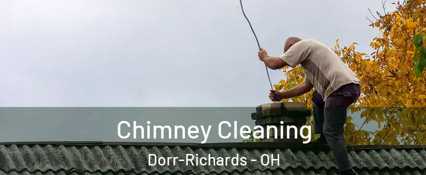 Chimney Cleaning Dorr-Richards - OH