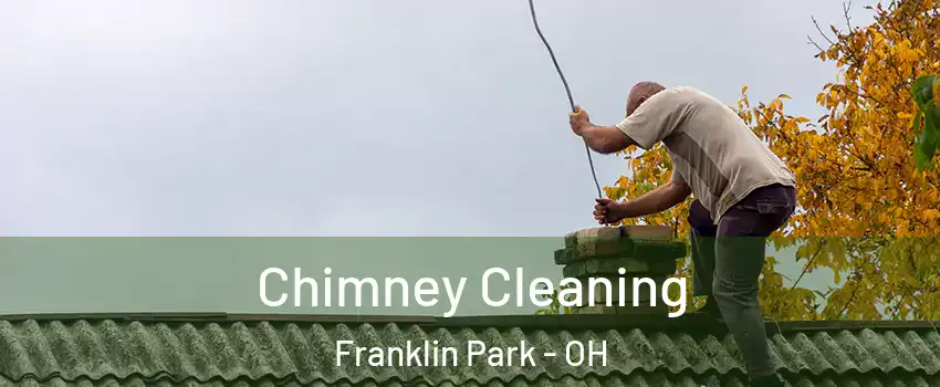 Chimney Cleaning Franklin Park - OH