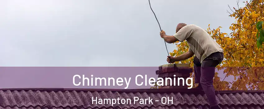 Chimney Cleaning Hampton Park - OH