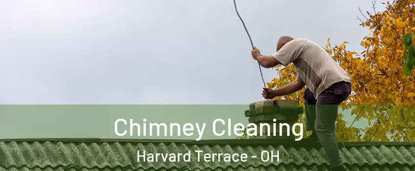 Chimney Cleaning Harvard Terrace - OH