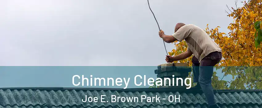 Chimney Cleaning Joe E. Brown Park - OH