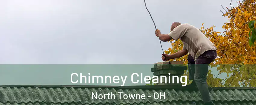 Chimney Cleaning North Towne - OH