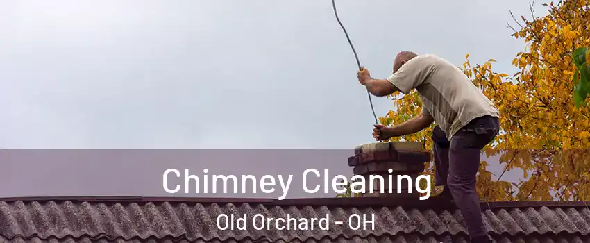 Chimney Cleaning Old Orchard - OH