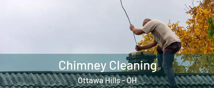 Chimney Cleaning Ottawa Hills - OH