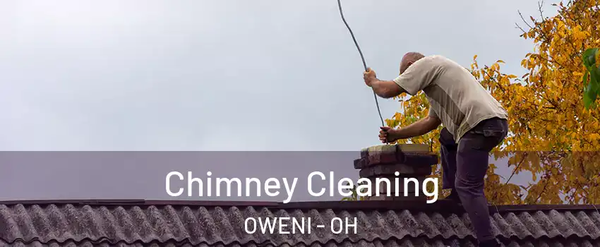 Chimney Cleaning OWENI - OH
