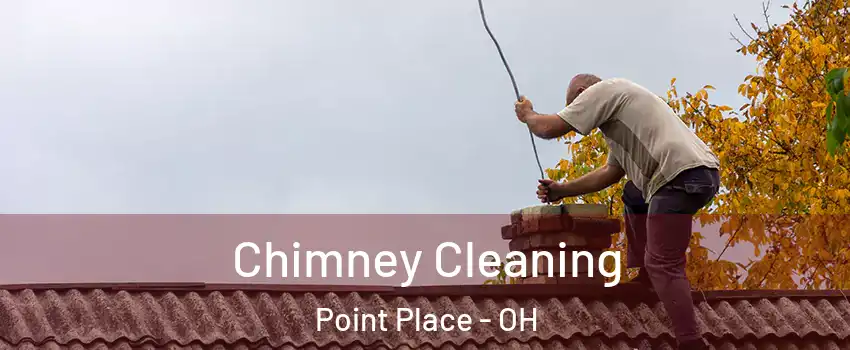 Chimney Cleaning Point Place - OH