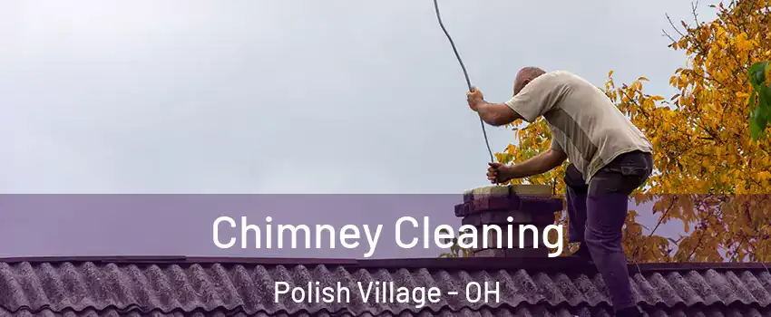 Chimney Cleaning Polish Village - OH