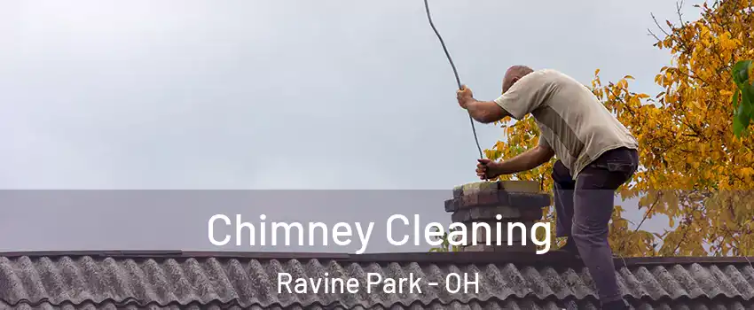 Chimney Cleaning Ravine Park - OH