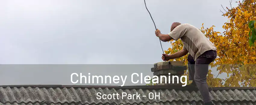 Chimney Cleaning Scott Park - OH