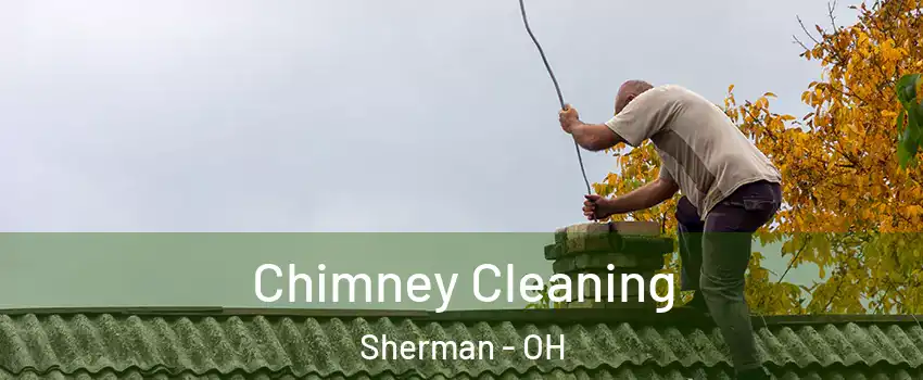 Chimney Cleaning Sherman - OH