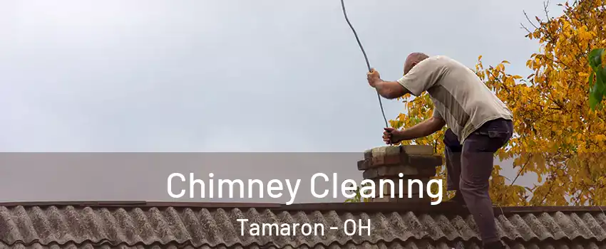 Chimney Cleaning Tamaron - OH