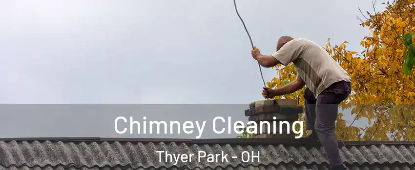 Chimney Cleaning Thyer Park - OH