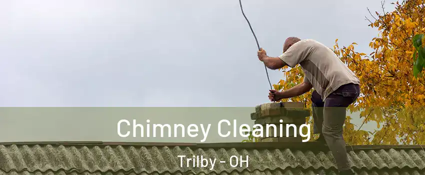 Chimney Cleaning Trilby - OH