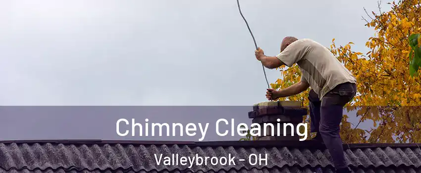 Chimney Cleaning Valleybrook - OH