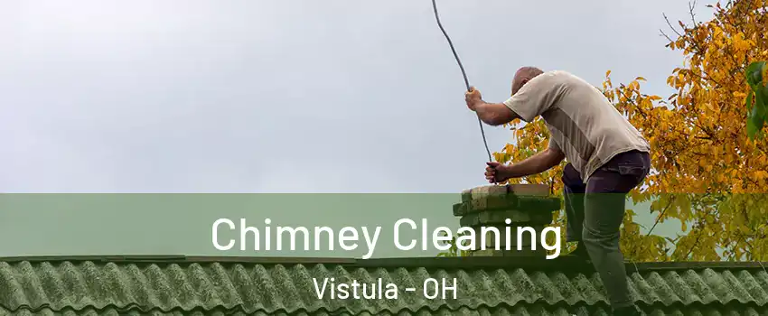 Chimney Cleaning Vistula - OH