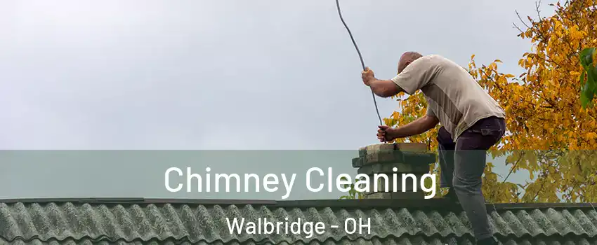 Chimney Cleaning Walbridge - OH