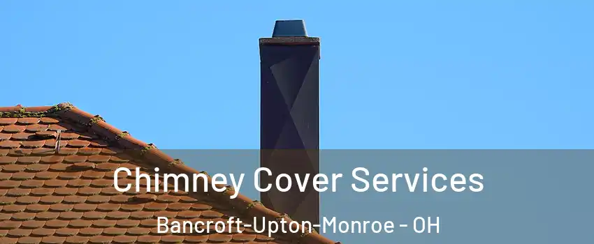 Chimney Cover Services Bancroft-Upton-Monroe - OH