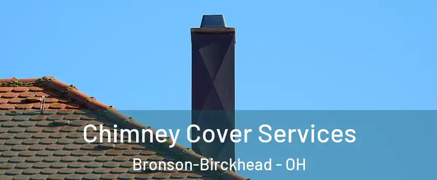 Chimney Cover Services Bronson-Birckhead - OH