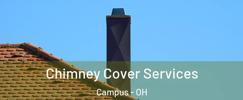 Chimney Cover Services Campus - OH