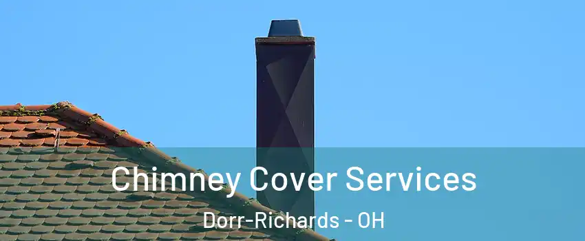 Chimney Cover Services Dorr-Richards - OH