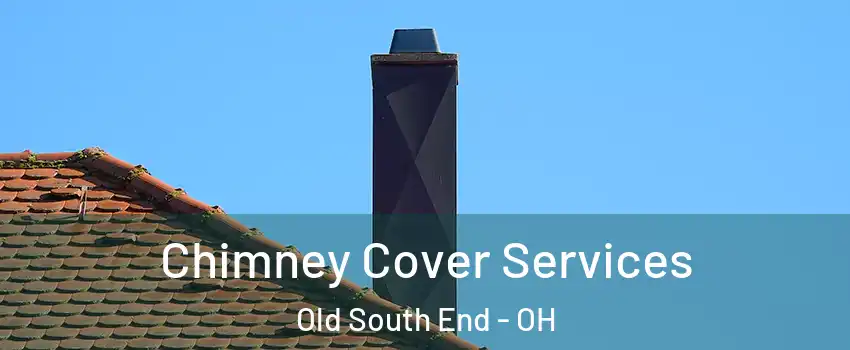 Chimney Cover Services Old South End - OH