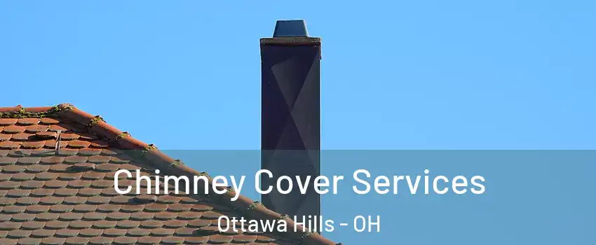 Chimney Cover Services Ottawa Hills - OH