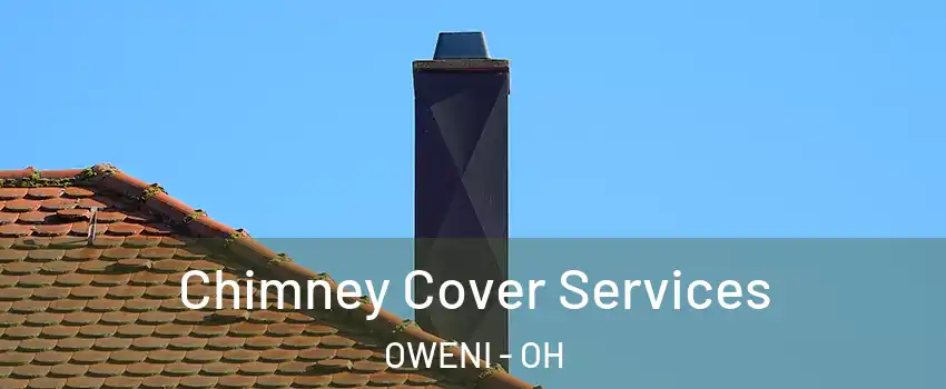 Chimney Cover Services OWENI - OH