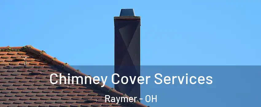 Chimney Cover Services Raymer - OH