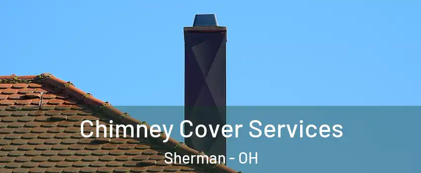 Chimney Cover Services Sherman - OH