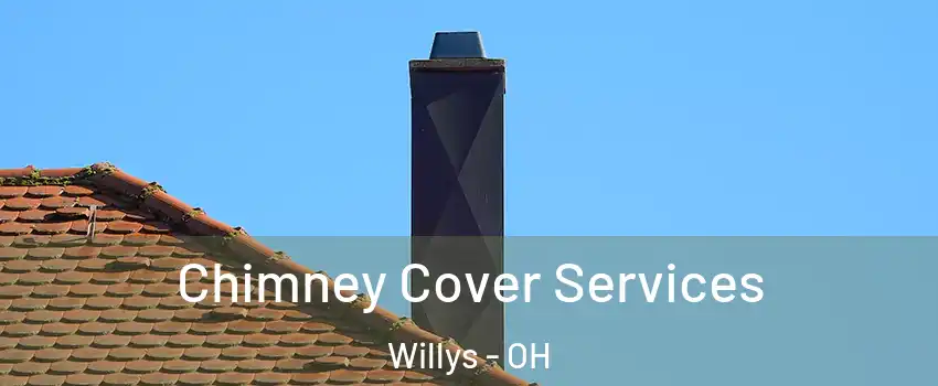 Chimney Cover Services Willys - OH