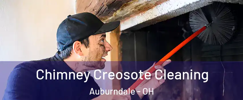 Chimney Creosote Cleaning Auburndale - OH