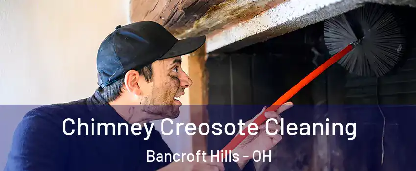 Chimney Creosote Cleaning Bancroft Hills - OH