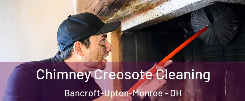 Chimney Creosote Cleaning Bancroft-Upton-Monroe - OH