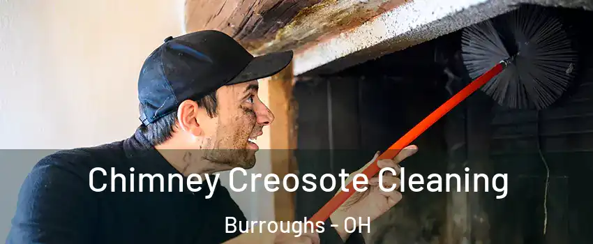 Chimney Creosote Cleaning Burroughs - OH