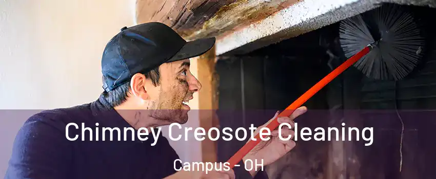 Chimney Creosote Cleaning Campus - OH