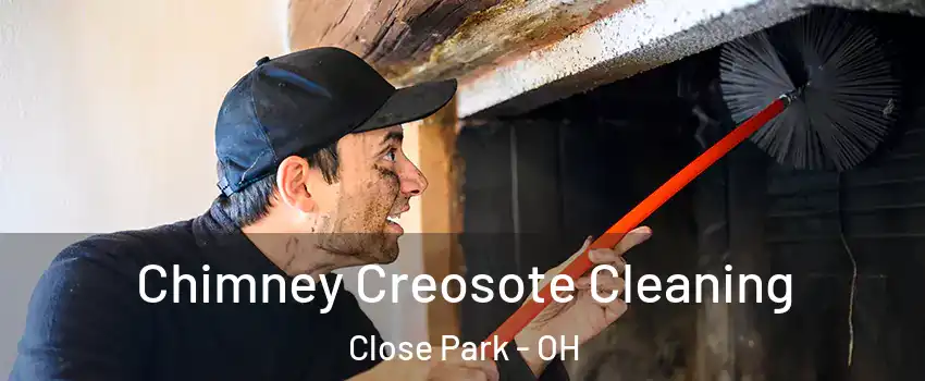 Chimney Creosote Cleaning Close Park - OH