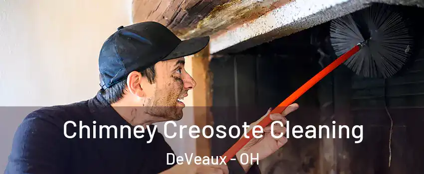 Chimney Creosote Cleaning DeVeaux - OH
