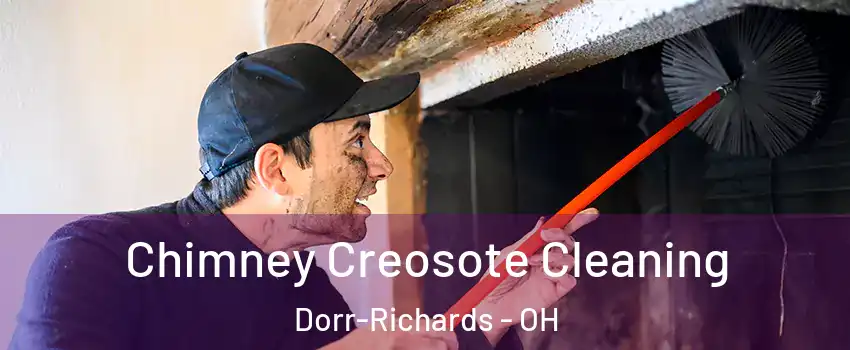 Chimney Creosote Cleaning Dorr-Richards - OH