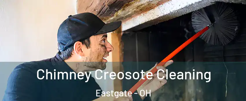 Chimney Creosote Cleaning Eastgate - OH