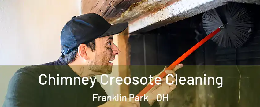 Chimney Creosote Cleaning Franklin Park - OH