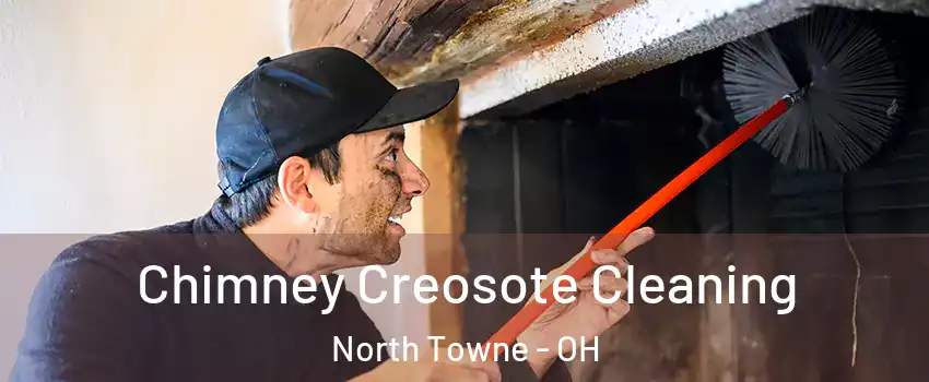 Chimney Creosote Cleaning North Towne - OH