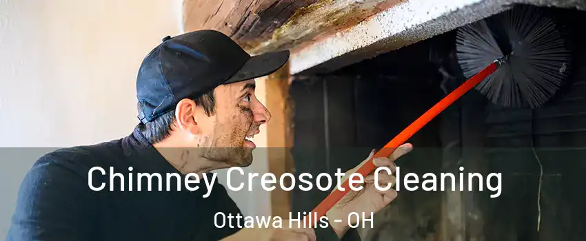 Chimney Creosote Cleaning Ottawa Hills - OH