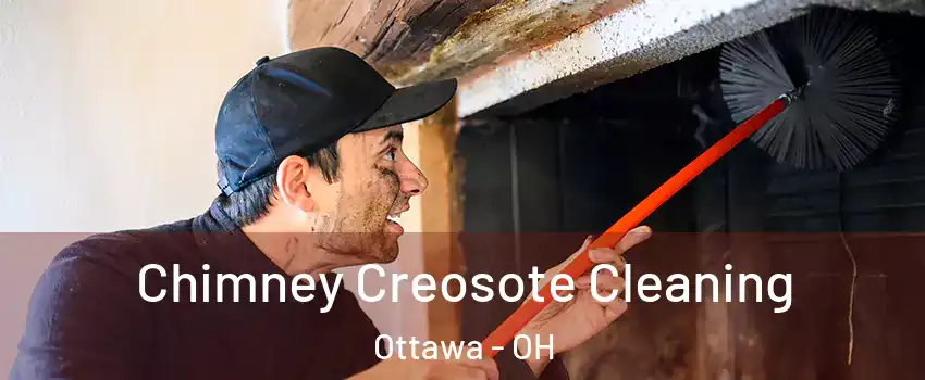 Chimney Creosote Cleaning Ottawa - OH