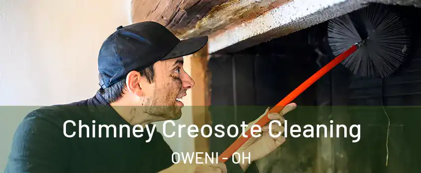 Chimney Creosote Cleaning OWENI - OH