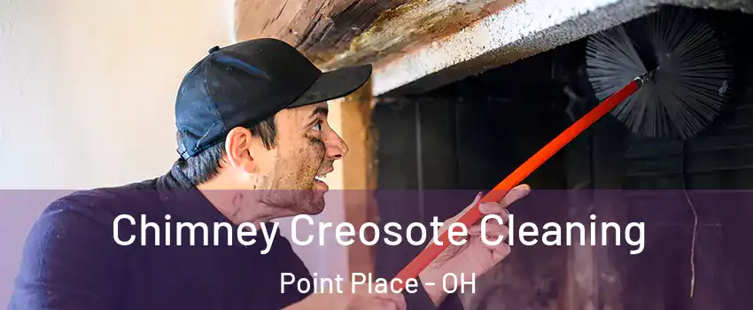 Chimney Creosote Cleaning Point Place - OH