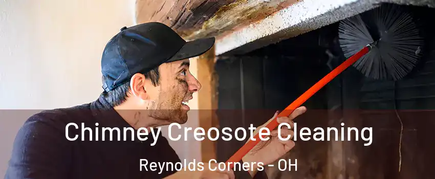 Chimney Creosote Cleaning Reynolds Corners - OH