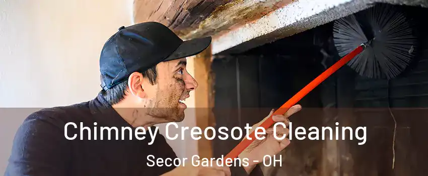 Chimney Creosote Cleaning Secor Gardens - OH