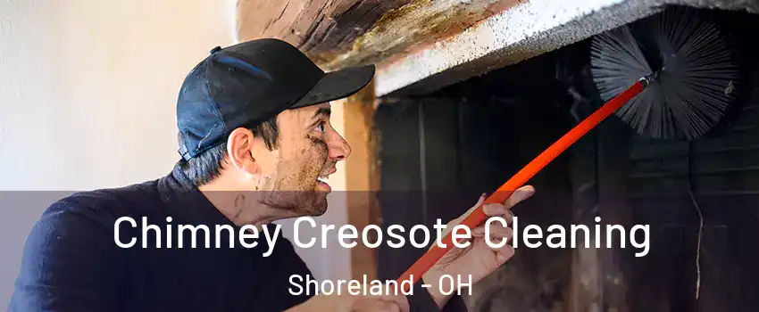 Chimney Creosote Cleaning Shoreland - OH