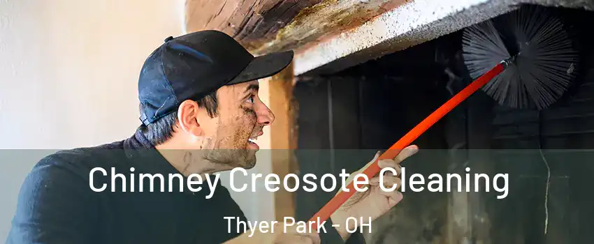 Chimney Creosote Cleaning Thyer Park - OH