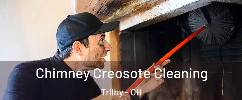 Chimney Creosote Cleaning Trilby - OH